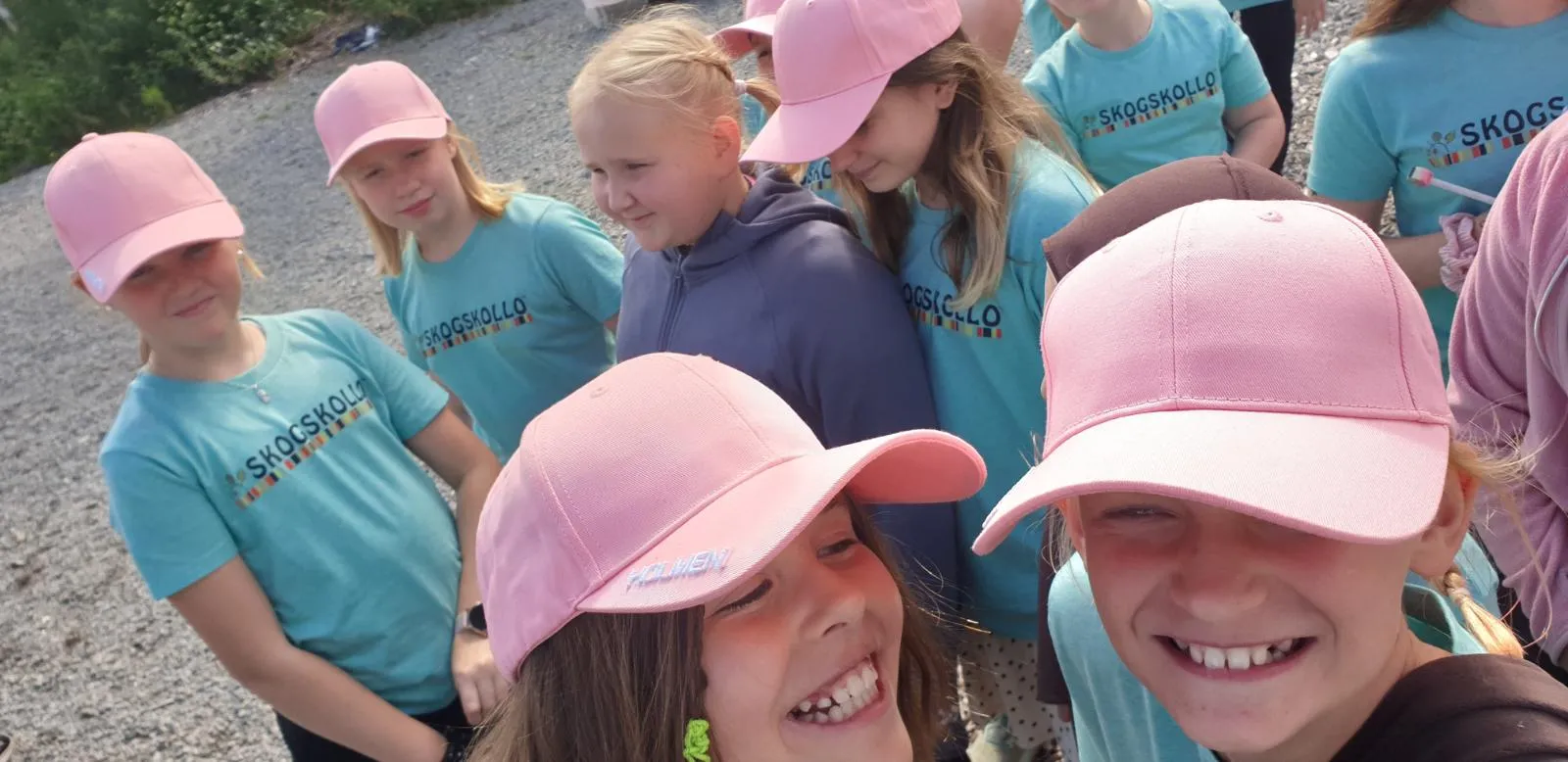 Skogskollo aktivitet