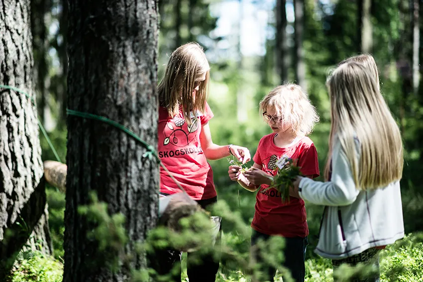 Barn utforskar skogen