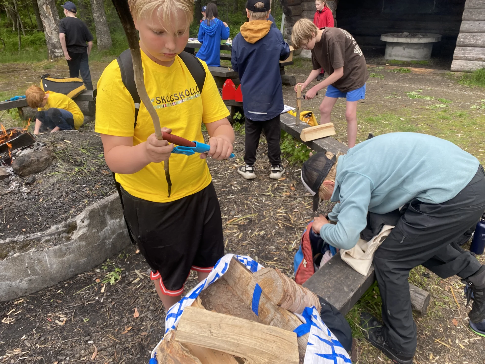 Barn springer i skogen